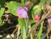 Денис Суглов фотография #4 (источник - https://vk.com/id6845027)