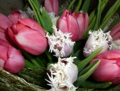 Фотография Кирилловой Оксаны