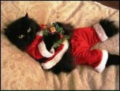 Діна Чуль фотография #2 (источник - https://vk.com/id63642758)