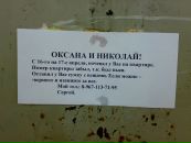 Why Not фотография #4 (источник - https://vk.com/id1055016)