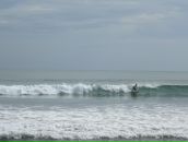 Дмитрий Гомон фотография #42 (источник - https://vk.com/id833603)