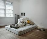 Фотография Седова Михаила