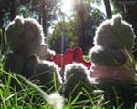 Фотография Евстигнеевой Юлии