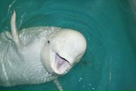 Фотография Марковой Марии