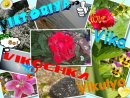 Викуся Чебан фотография #33 (источник - https://vk.com/id285249497)