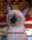 Сергій Волянський фотография #48 (источник - https://vk.com/id15282556)