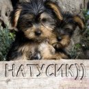 Наталія Пушкар фотография #38 (источник - https://vk.com/id157873927)