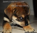 Євген Варода фотография #41 (источник - https://vk.com/id59447228)