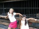 Алінка Безноса фотография #40 (источник - https://vk.com/id58376984)