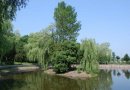 Віталій Костей фотография #24 (источник - https://vk.com/id15003643)