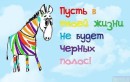 Олена Гриньків фотография #19 (источник - https://vk.com/id31788868)