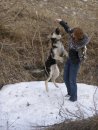 Фостер Светлые_истоки фотография #33 (источник - https://vk.com/id29935141)