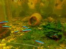 Deltd Deltd фотография #3 (источник - https://vk.com/id2012631)