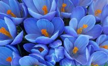 Фотография Божковой Натальи