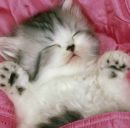 Сергій Кузьменко фотография #11 (источник - https://vk.com/id141220459)