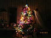 Фотография Лемякиной Дианы