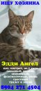Фотография Пальшиной Татьяны