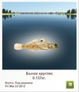 Ігор Биндю фотография #1