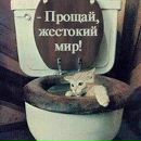 Андрій Зайцев фотография #15 (источник - https://vk.com/id89573487)