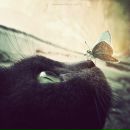 Іра Шалейко фотография #9 (источник - https://vk.com/id142541959)