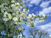 Фотография Тукаевой Гульшат