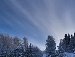 Біологічний Гурток фотография #3 (источник - https://vk.com/id153362468)