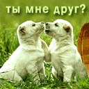 Наконечна Іра фотография #38 (источник - https://vk.com/id164757767)