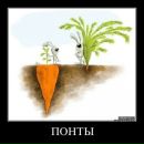 Юрій Гайковський фотография #25 (источник - https://vk.com/id130320583)