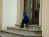 Фотография Кадышевой Елены