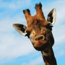 Фотография Моториной Натальи