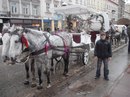 Ігор Карпа фотография #20 (источник - https://vk.com/id159842749)
