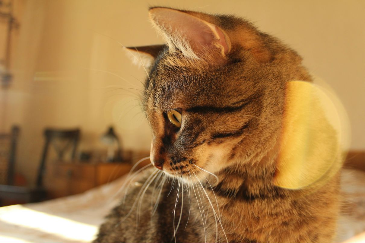 Антон Драницын фотография #24