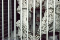 Фотография Гасановой Анастасии