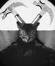 Фотография Yanushevskiy Konstantin