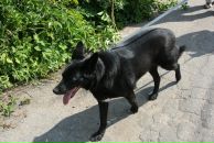 Фотография Шалыгиной Анастасии