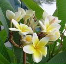 Фотография Семенец Екатерины