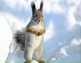 Фотография Сипиева Андрея