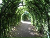 Фотография Минкина Александра