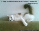 Іван Деркач фотография #12 (источник - https://vk.com/id132002777)