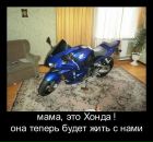 Фотография Соколова Ивана