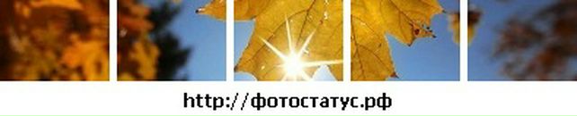 Іра Матус-Мельничук фотография #46 (источник - https://vk.com/id46208766)