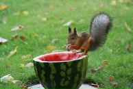 Фотография Лысых Марины