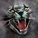 Андрій Діда фотография #17 (источник - https://vk.com/id31400976)