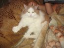 Фотография Потаповой Екатерины
