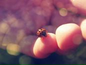 Фотография Стариченковой Ирины