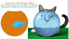 Вадік Bondarovski фотография #43 (источник - https://vk.com/id23080740)