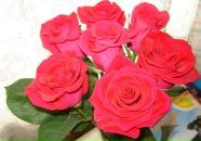 Фотография Фроловой Ирины