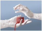 Фотография Айдинян Марины