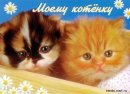 Мирослава Задільська фотография #49 (источник - https://vk.com/id43462727)