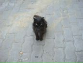 Фотография Владимирова Дмитрия